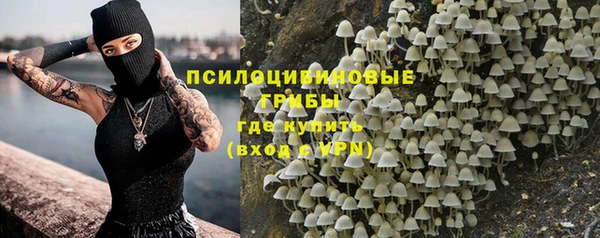 гидра Алзамай